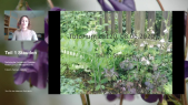 thumbnail of medium LB120 Pflanzentutorium Stauden im Sommer Teil 1