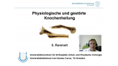 thumbnail of medium Prof. Rammelt Knochenheilung