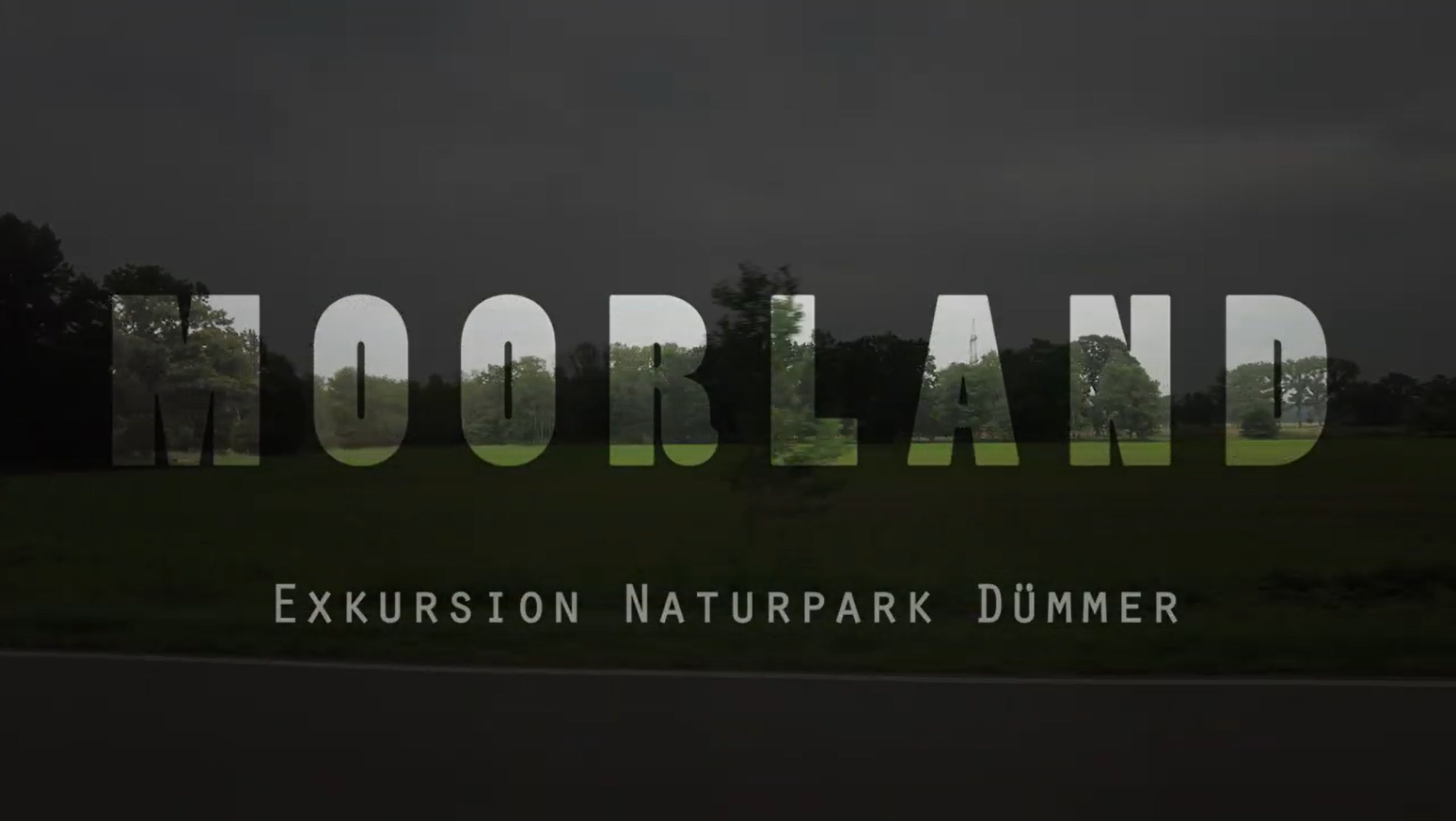 thumbnail of medium /cache/37c2a90f151ee6309641ed32e07c68ab.png