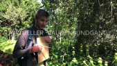 thumbnail of medium LB120 Pflanzentutorium Sommerrundgang im BOT Teil 1