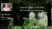 thumbnail of medium LB120 Pflanzentutorium Stauden im Frühsommer Teil 1