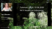 thumbnail of medium LB120 Pflanzentutorium Stauden im Frühsommer Teil 1