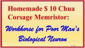 thumbnail of medium MEMRISYS2023 - Homemade $10 Chua Corsage Memristor: Workhorse for Poor Man's Biological Neuron (Leon Chua)