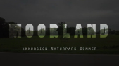 thumbnail of medium Wahlpflichtmodul Landschaftsplanung, SoSe 2025: "Moorland" - Exkursion zum Naturpark Dümmer (Niedersachsen)