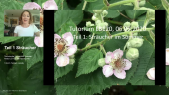 thumbnail of medium LB120 Pflanzentutorium Gehölze im Sommer Teil 2