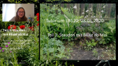 thumbnail of medium LB120 Pflanzentutorium Stauden mit Blühaspekt im Mai Teil 1