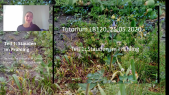 thumbnail of medium LB120 Pflanzentutorium Stauden im Frühling Teil 1