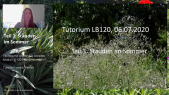 thumbnail of medium LB120 Pflanzentutorium Stauden im Sommer Teil 1