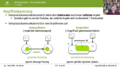 thumbnail of medium Betriebssysteme: Grundformen der Prozessinteraktion und Kommunikation