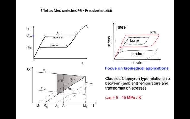 thumbnail of medium /cache/9e9213f2111abb8cc7f21cd394b6e325.png