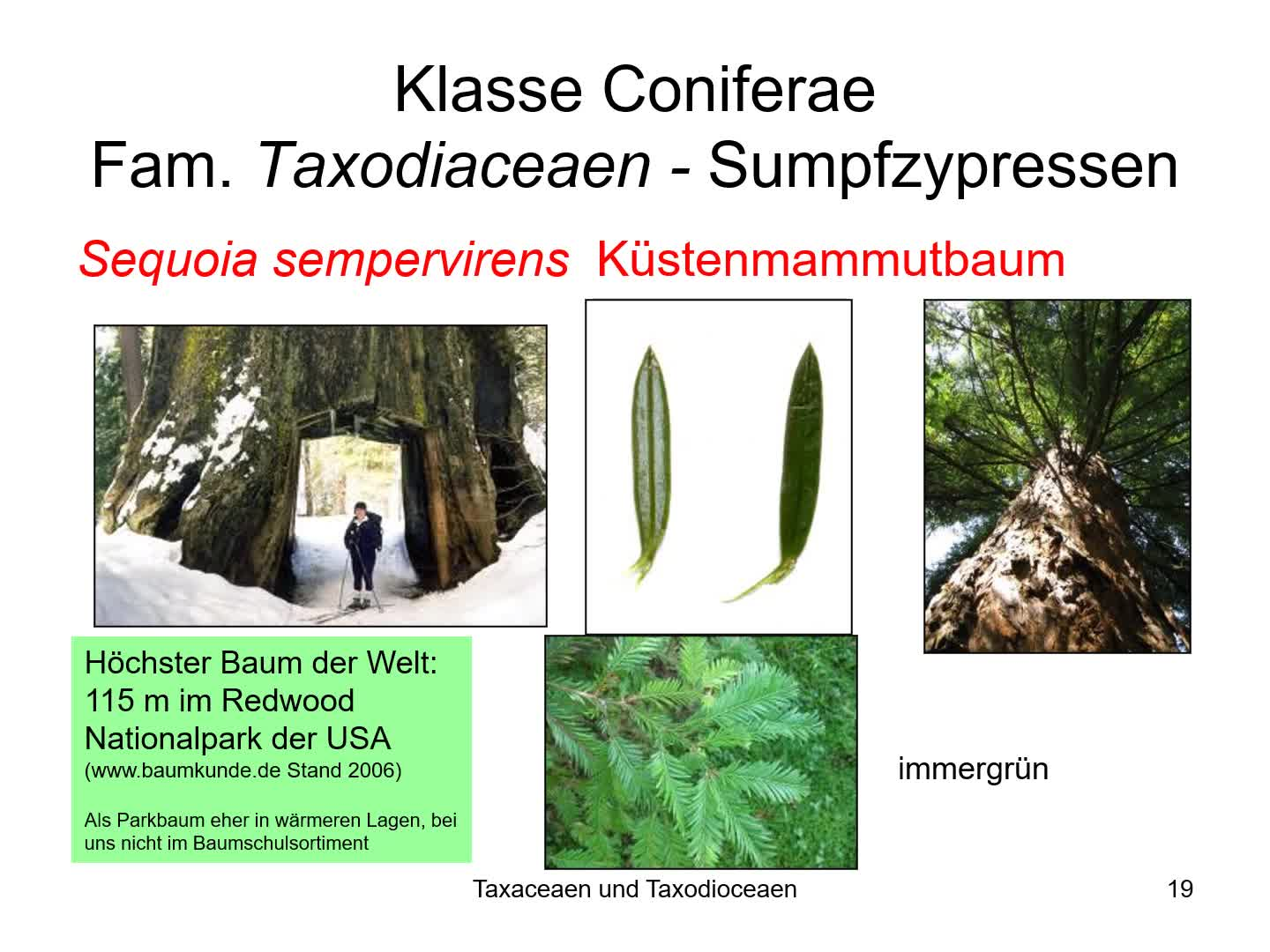 thumbnail of medium /cache/aae560479f72b3aa5cce5540136b64d1.png