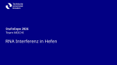thumbnail of medium StuFoExpo 2026: RNA Interferenz in Hefen