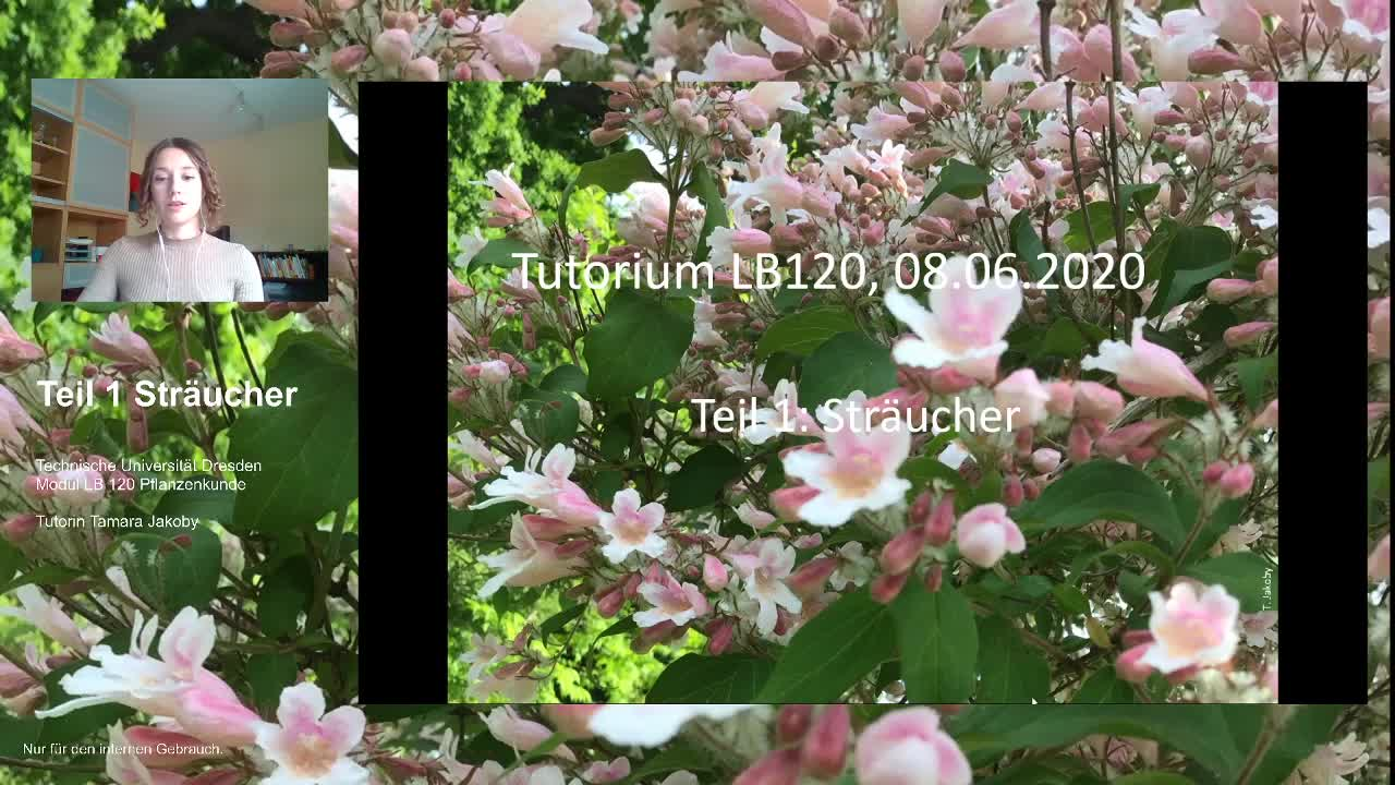 thumbnail of medium /cache/ccc8f70968e2b85c0ffbc85679bb4258.png