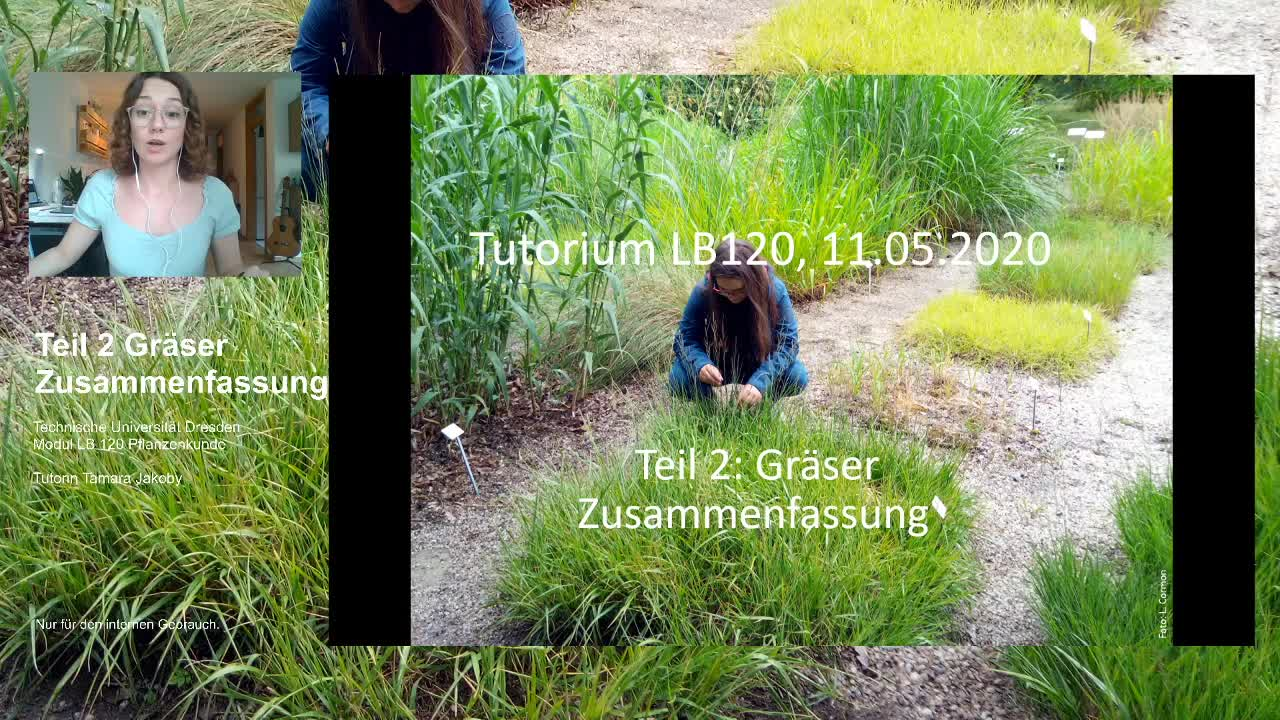 thumbnail of medium /cache/d676ea00a9c4ba4ef25d4f53e2bb88ab.png