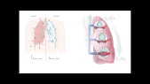 thumbnail of medium Clinicum Digitale 2025 - PREP-Kurs Medizin