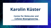 thumbnail of medium Karolin Küster: Weaver syndrome - Disease modelling in human brain organoids